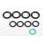 O-RING 18,64X3,53 PWT (4 pezzi)